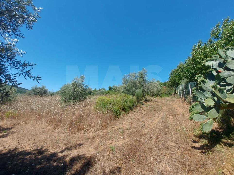  Land in Arganil, Portugal No. 280313