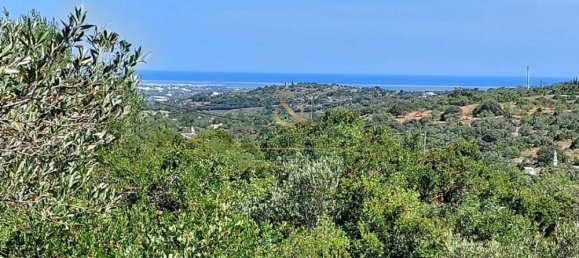 Grundstück in Faro, Portugal 4852m², Nr. 120384 16