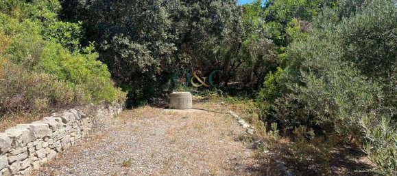 Grundstück in Faro, Portugal 4852m², Nr. 120384 15