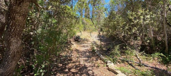 Grundstück in Faro, Portugal 4852m², Nr. 120384 11