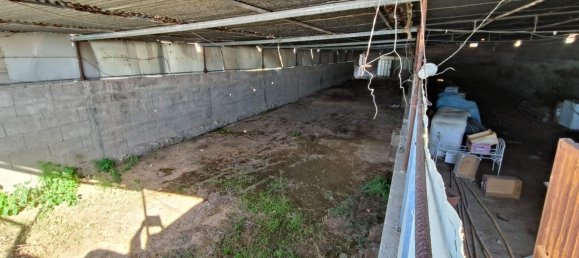 2 bedrooms House in Granadilla de Abona, Spain No. 160921 11