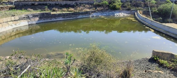 2 bedrooms House in Granadilla de Abona, Spain No. 160921 40