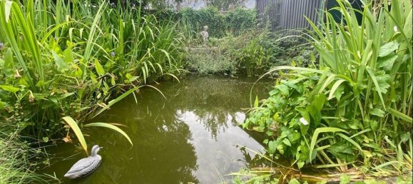 4-Zimmer Haus in Steinburg, Germany, Nr. 282662 6