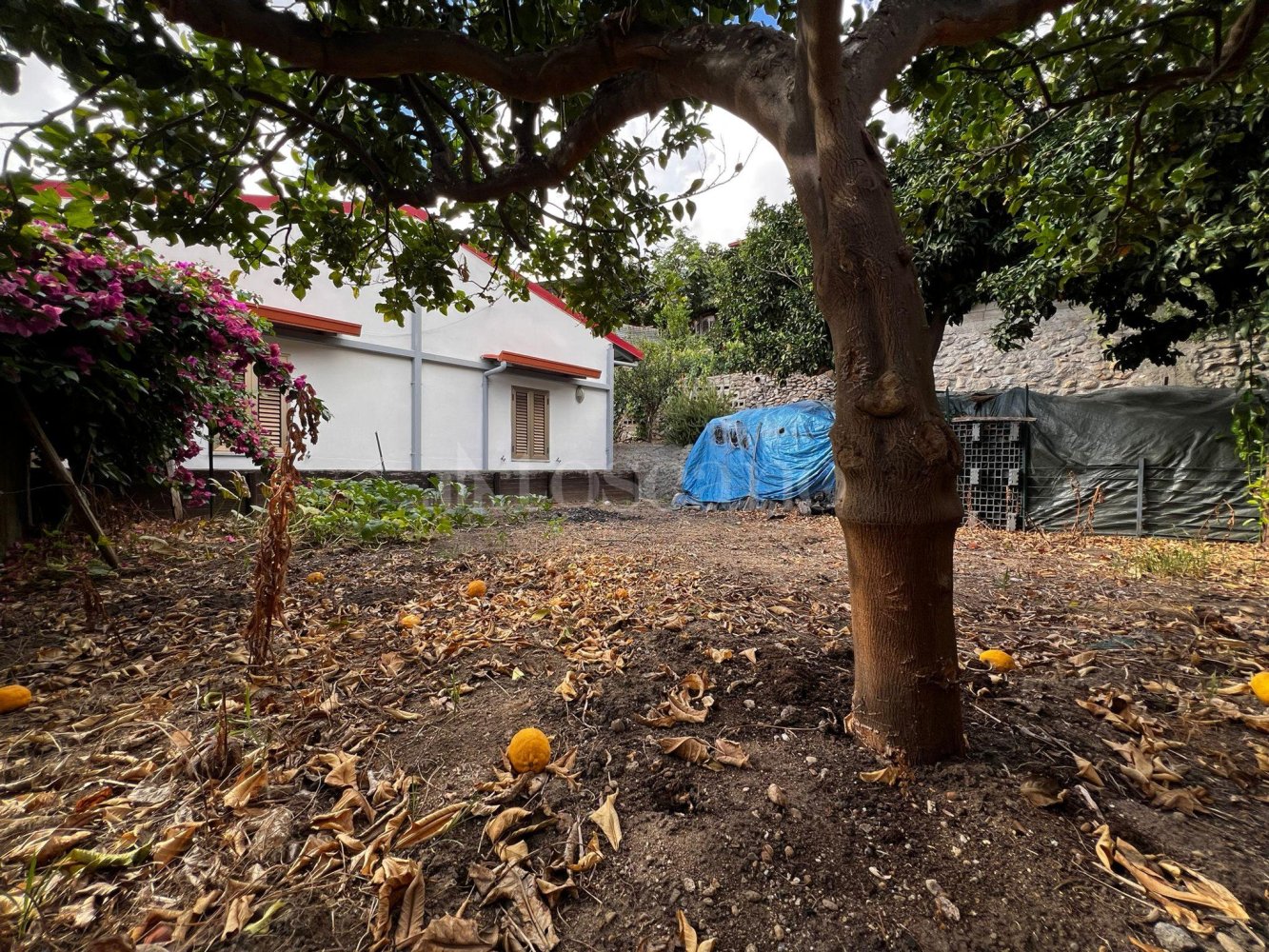 6-Zimmer Villa in Calanna, Italy, Nr. 279890