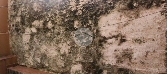 Apartamento de 3 dormitorios en Genoa, Italy No. 32669 13