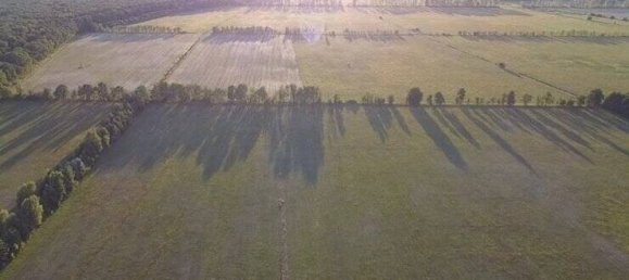 4-Zimmer Bauernhof in Oberhavel, Germany, Nr. 295094 22