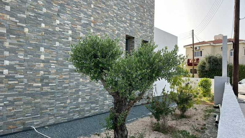 3 bedrooms Villa in Paphos, Cyprus No. 10767