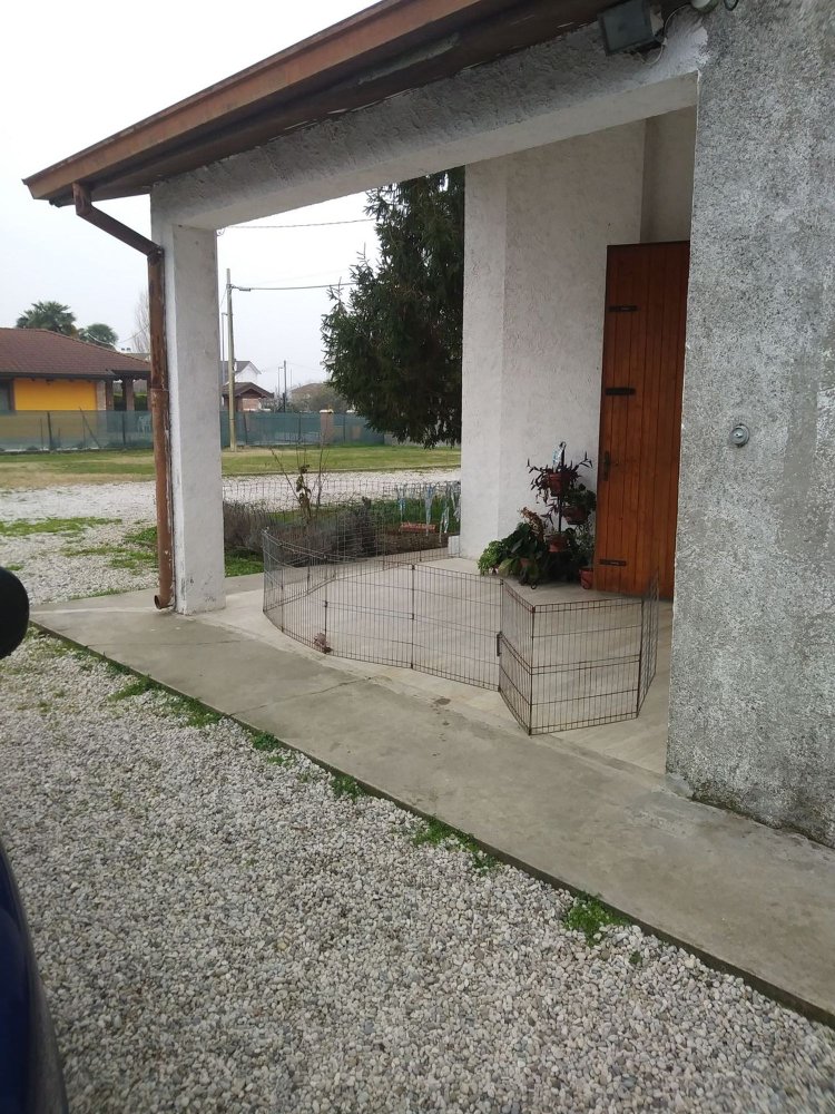 Дом с 7 комнатами в Рива дель По, Италия № 255269