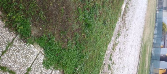 Дом с 7 комнатами в Рива дель По, Италия № 255269 17