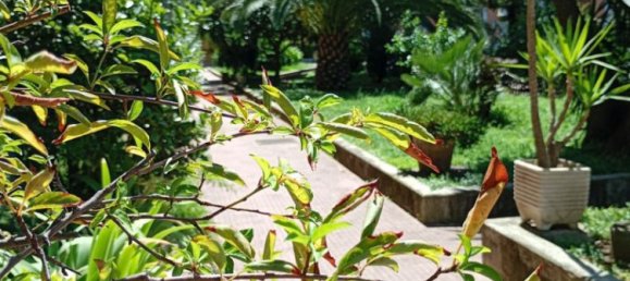 1 bedroom Apartment in Rome, Italy No. 263648 2