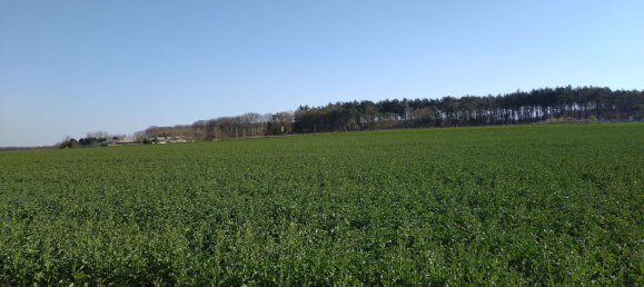 5 bedrooms Townhouse in Duren, Germany No. 342469 6