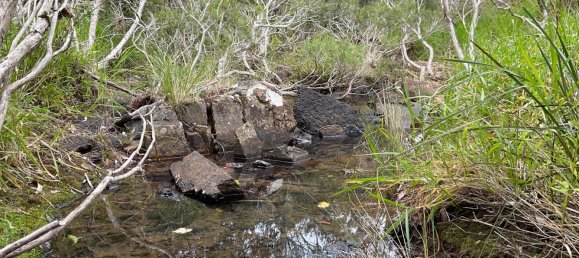 2 Schlafzimmer Haus in Millstream, Australia, Nr. 488 11