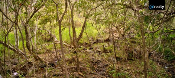2 Schlafzimmer Haus in Millstream, Australia, Nr. 488 7