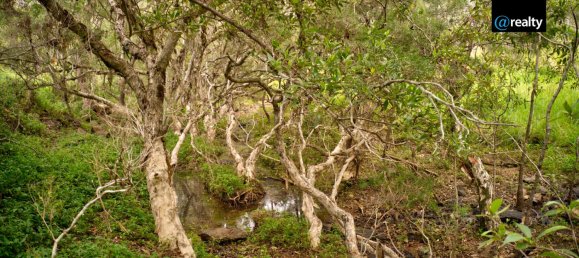 2 Schlafzimmer Haus in Millstream, Australia, Nr. 488 5