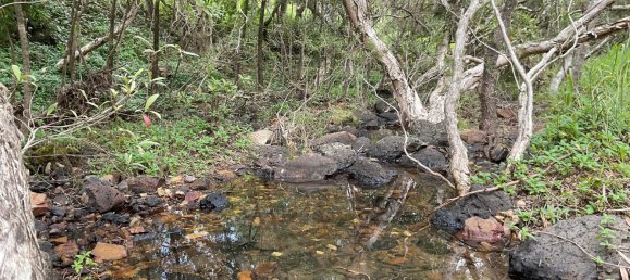 2 Schlafzimmer Haus in Millstream, Australia, Nr. 488 12