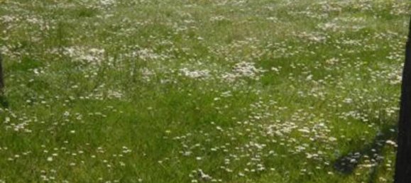 Casa de 10 dormitorios en Cazzago San Martino, Italy No. 264764 3