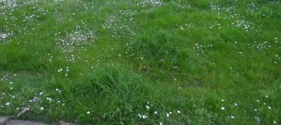 Casa de 10 dormitorios en Cazzago San Martino, Italy No. 264764 2