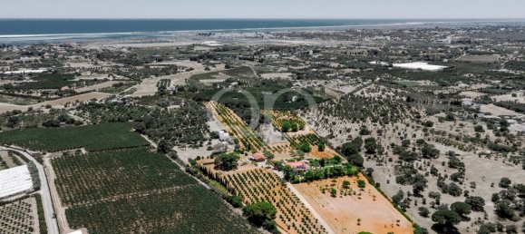 5 Schlafzimmer Villa in Tavira, Portugal, Nr. 215336 12