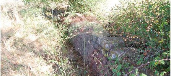 1920m² Land in Sao Bartolomeu de Messines, Portugal No. 38996 19