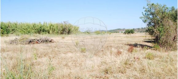 1920m² Land in Sao Bartolomeu de Messines, Portugal No. 38996 16