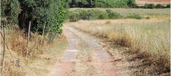 1920m² Land in Sao Bartolomeu de Messines, Portugal No. 38996 11