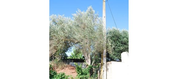 1920m² Land in Sao Bartolomeu de Messines, Portugal No. 38996 2