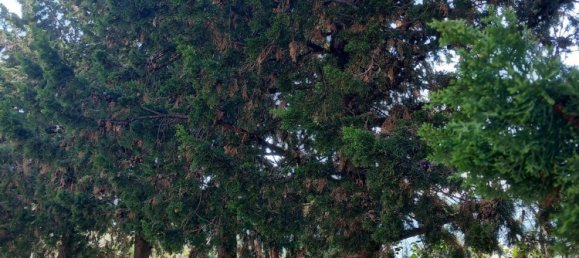 Casa de 7 divisões em Casalincontrada, Italy N.º 207068 12