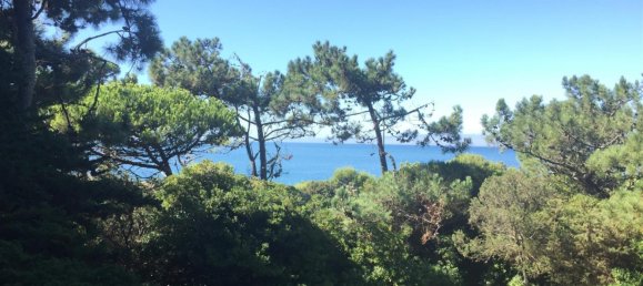 Вилла с 8 спальнями в Кашкайш, Португалия № 113175 4