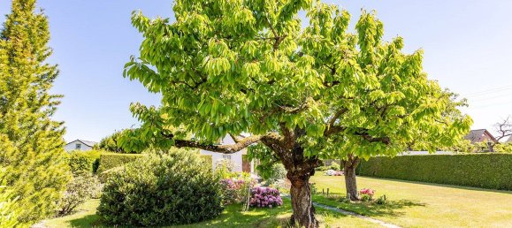  Land in Mahlsdorf, Germany No. 273819 5