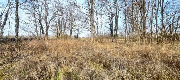 Terreno en Anhalt-Bitterfeld, Germany No. 245799 10