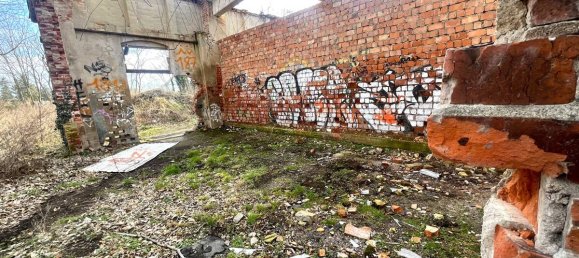 Terreno en Anhalt-Bitterfeld, Germany No. 245799 16