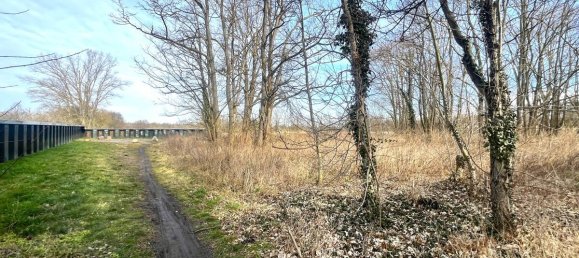 Terreno en Anhalt-Bitterfeld, Germany No. 245799 8