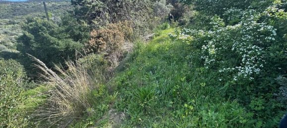 3-salle Maison à Monte Argentario, Italy No. 162930 4