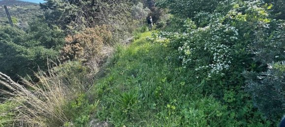 3-salle Maison à Monte Argentario, Italy No. 162930 5