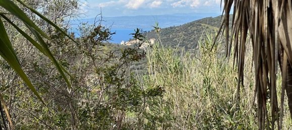 3-salle Maison à Monte Argentario, Italy No. 162930 7