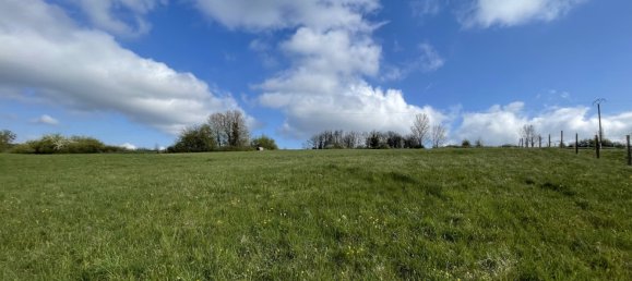 6 bedrooms House in Hauterives, France No. 242275 19