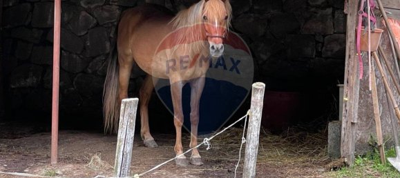 3 bedrooms Villa in Bagni di Lucca, Italy No. 48510 32