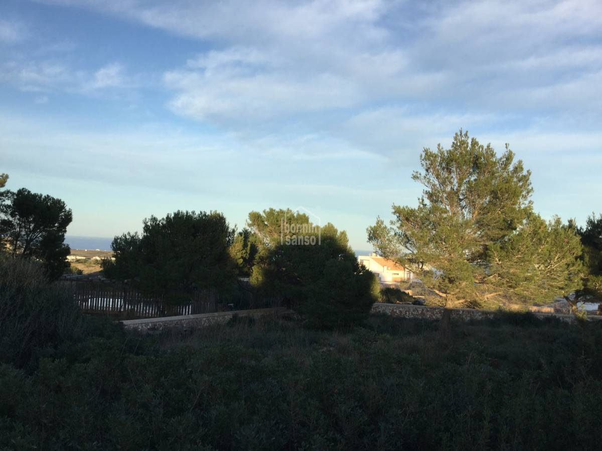 Земельный участок в Эс-Меркадаль, Испания № 3886