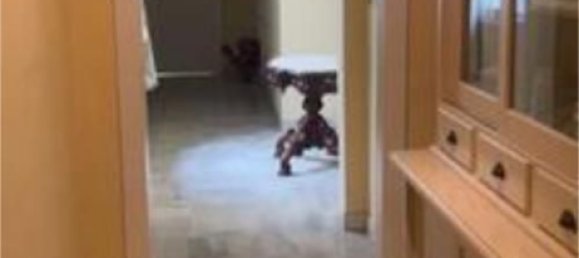 Квартира с 2 спальнями в Эль-Пуэрто-де-Санта-Мария, Испания № 174402 5