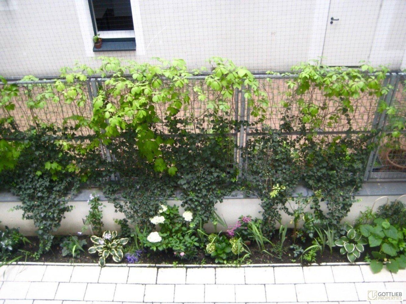 2 rooms Apartment in Alsergrund, Austria No. 241448