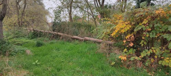 Terreno en Wandignies-Hamage, France 475 m² No. 52240 4