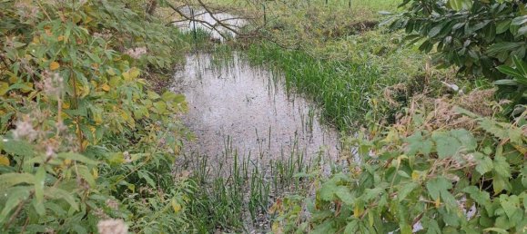 Terreno en Wandignies-Hamage, France 475 m² No. 52240 3