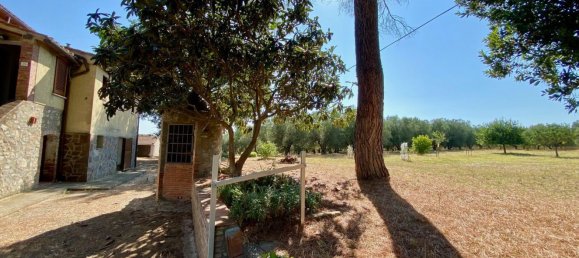 14-Zimmer Haus in Campagnatico, Italy, Nr. 287667 14