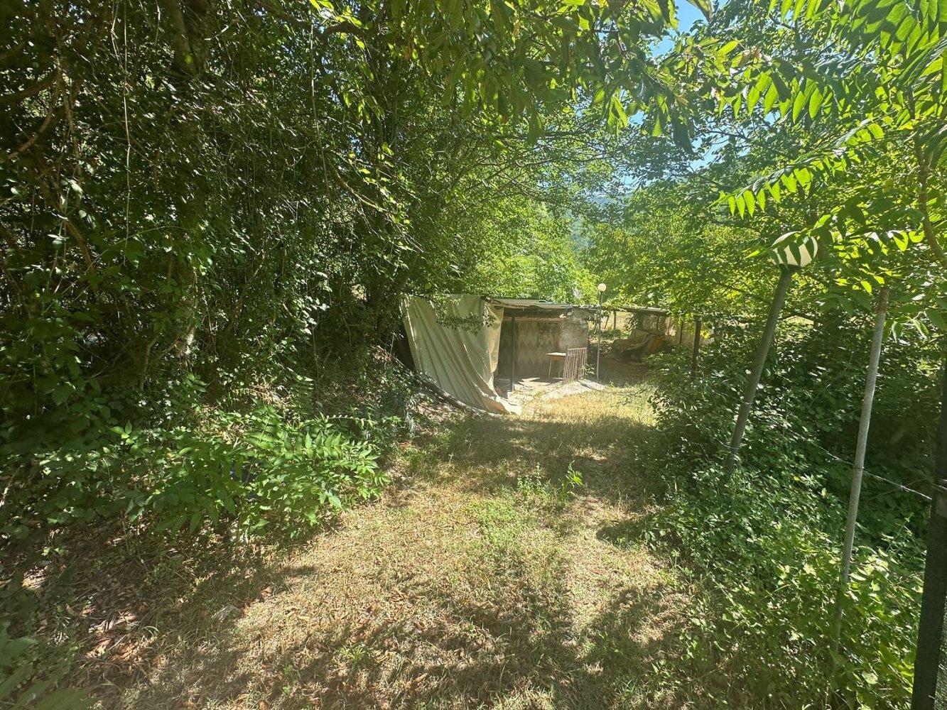 6935m² Land in Polino, Italy No. 299819