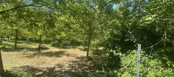 6935m² Land in Polino, Italy No. 299819 7