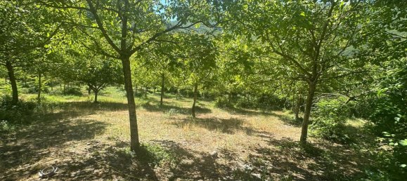 6935m² Land in Polino, Italy No. 299819 6