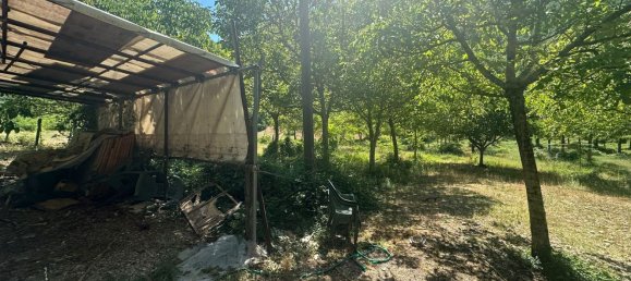 6935m² Land in Polino, Italy No. 299819 5