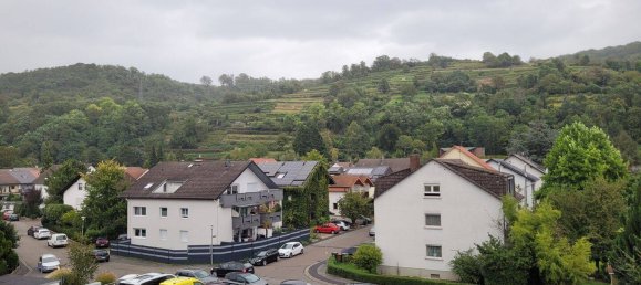 3-Zimmer Wohnung in Rhein-Neckar-Kreis, Germany, Nr. 267105 3