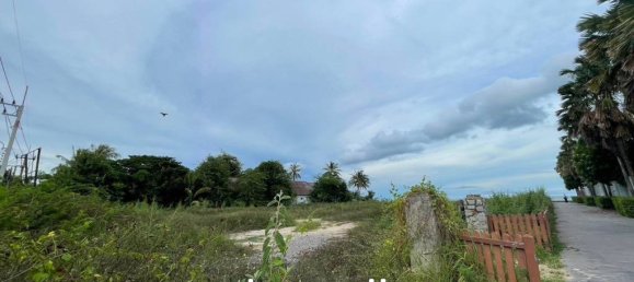 Commercial property in Hua Hin, Thailand No. 24046 10