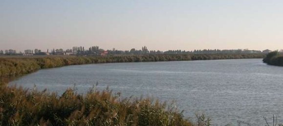 3-Zimmer Gewerbliche Immobilie in Marcon, Italy, Nr. 61844 14